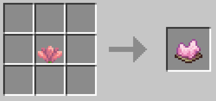 サボテンの花1つで桃色の染料1つができる