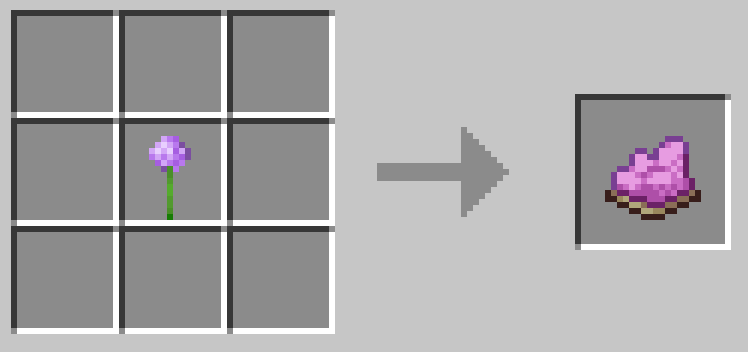 アリウム1つで赤紫色の染料1つができる