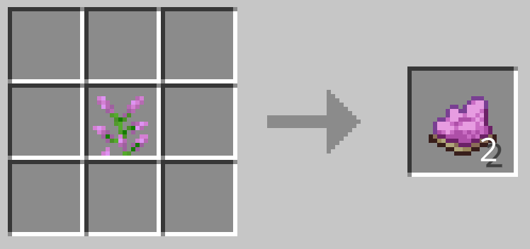 ライラック1つで赤紫色の染料2つができる