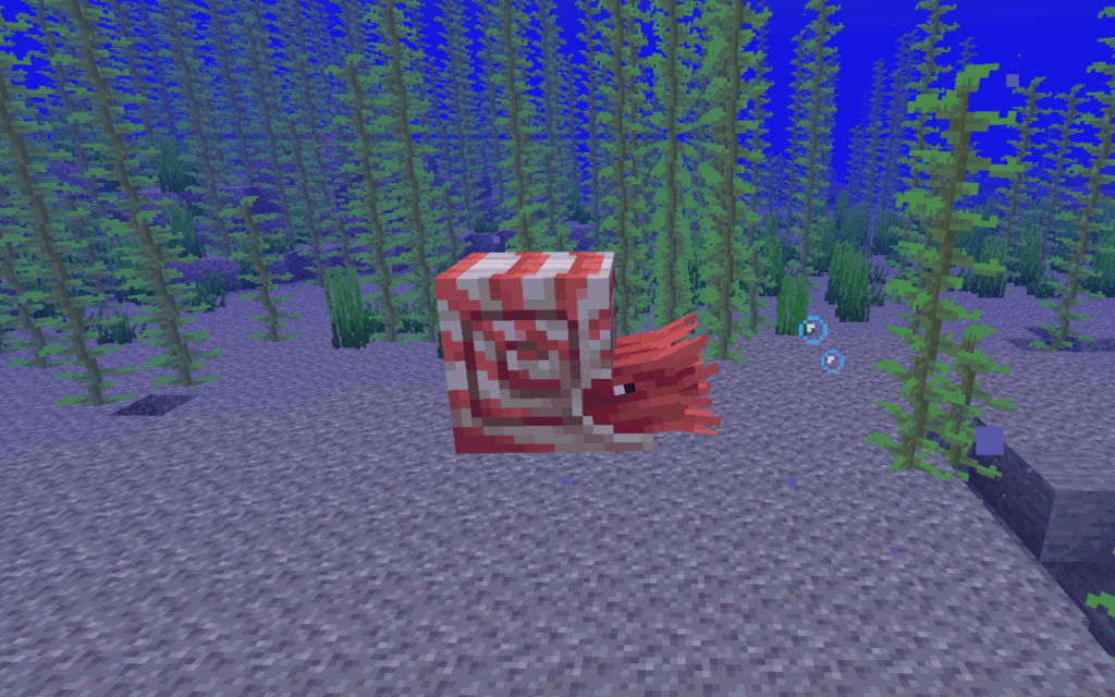 海中を泳ぐオウムガイ