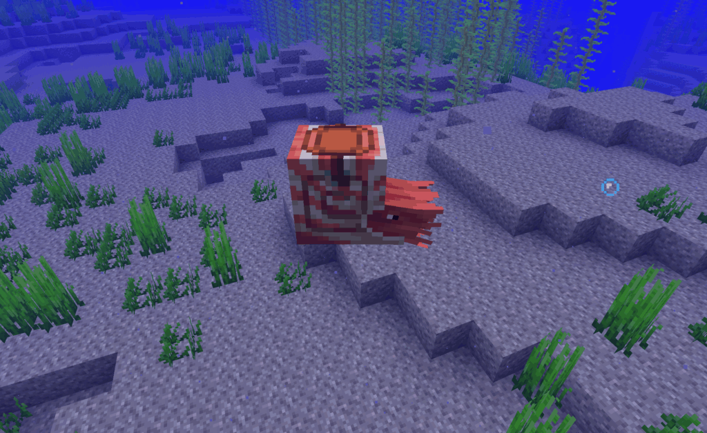 サドルを付けたオウムガイ