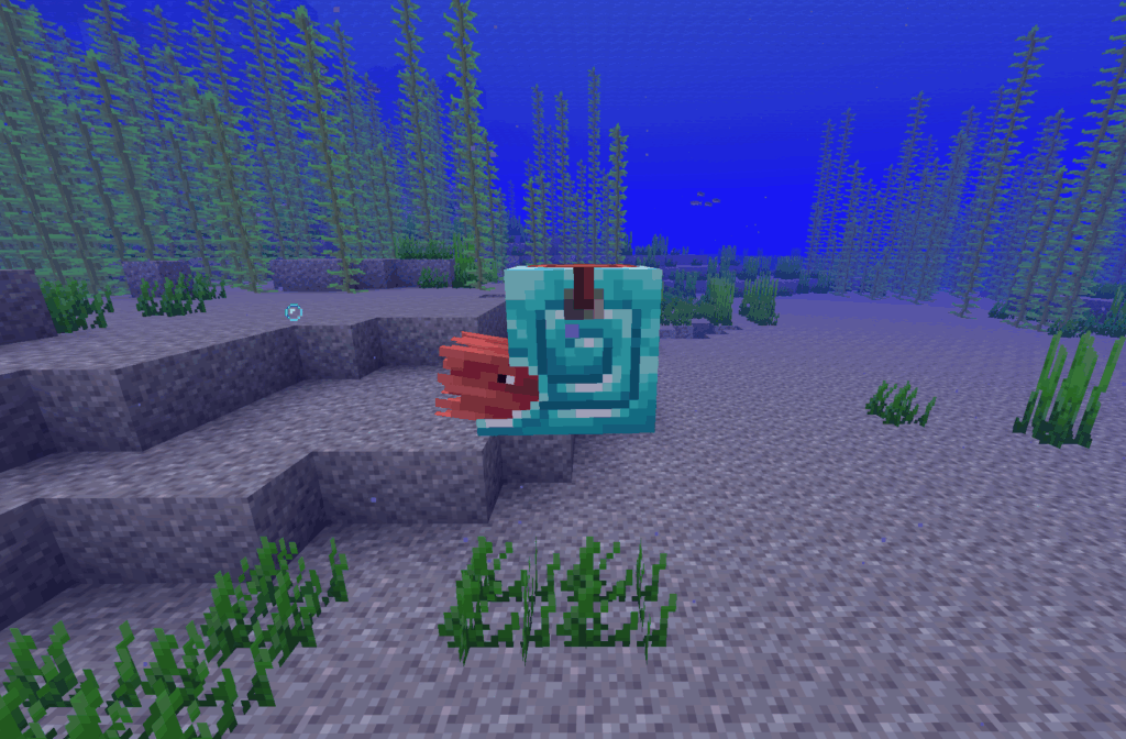 オウムガイの鎧を着たオウムガイ