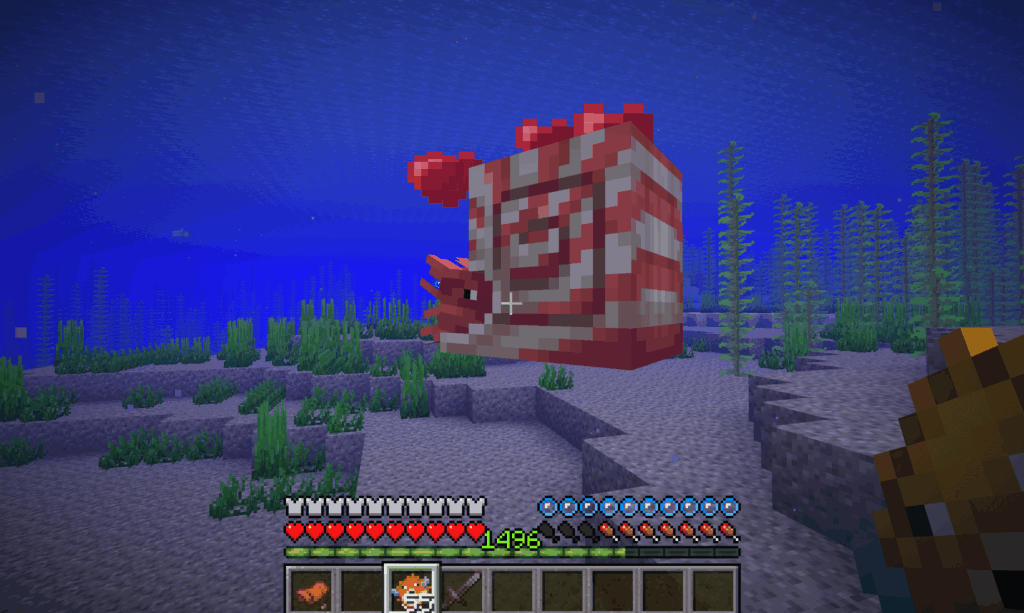 オウムガイをフグで飼いならす様子